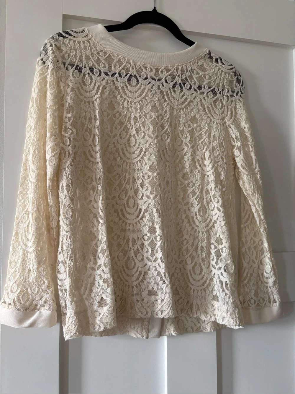 Banana Republic Cream Lace Long-Sleeve Blouse